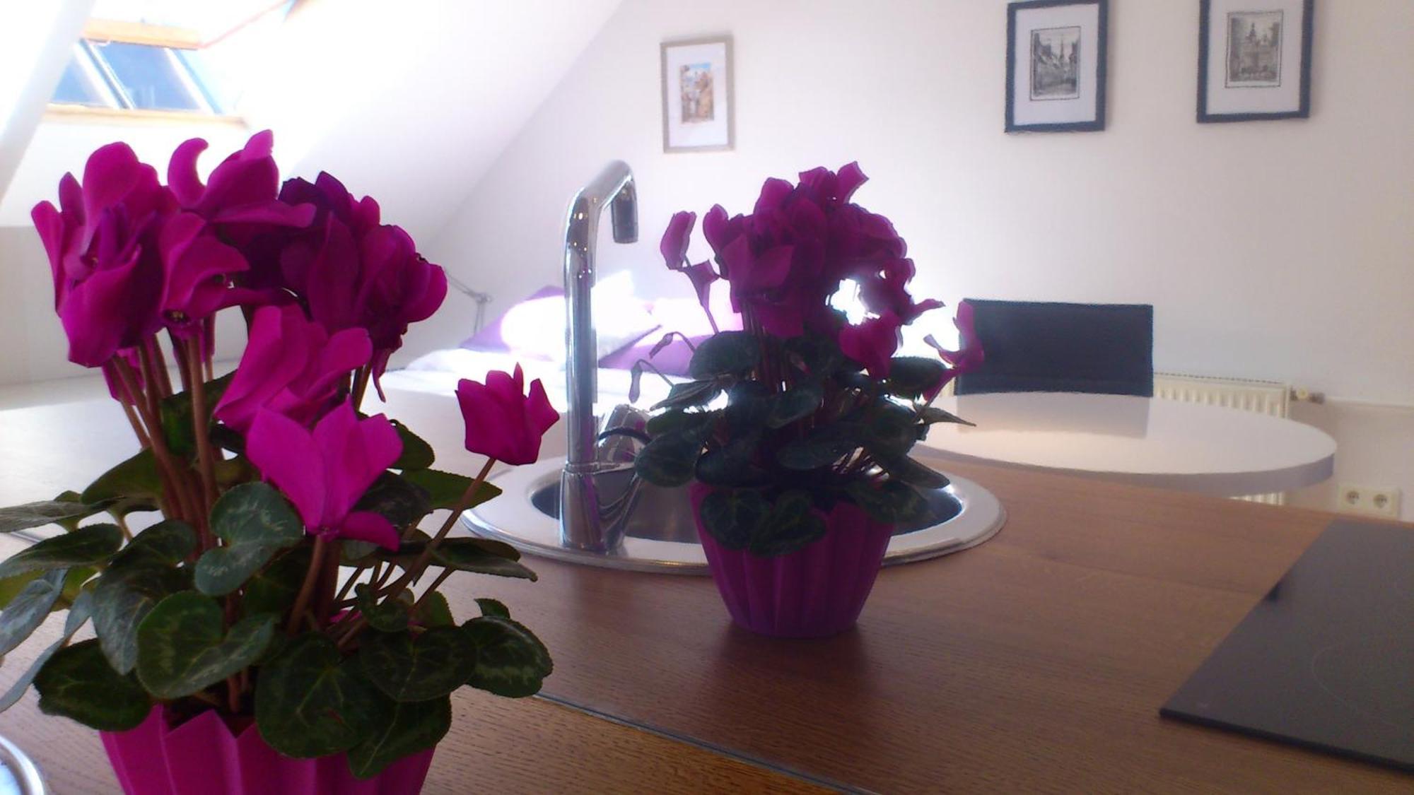 Old Town Riga Apartment Bagian luar foto